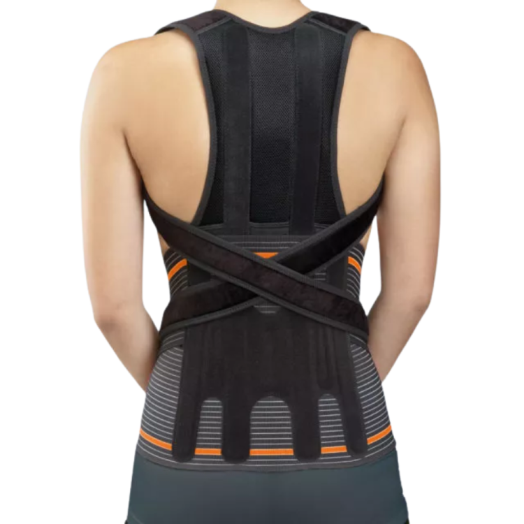 Piersiowo-lędźwiowy moduł do pasa Evotec® EV-203 (BEŻOWY) / EV-303 (CZARNY)