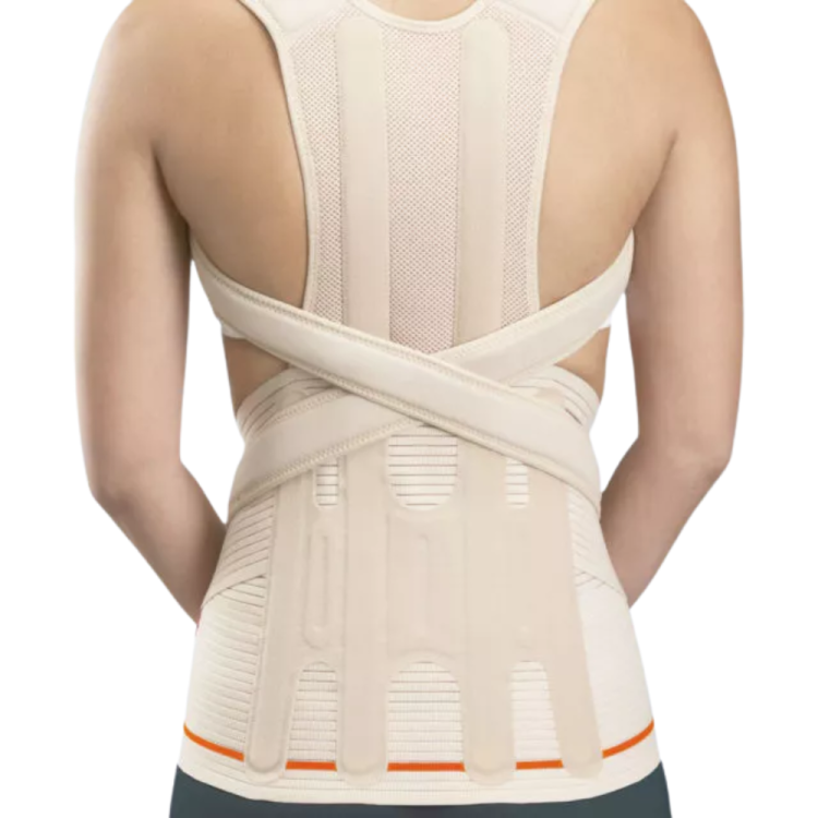 Piersiowo-lędźwiowy moduł do pasa Evotec® EV-203 (BEŻOWY) / EV-303 (CZARNY)