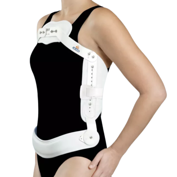 Jevett gorset stabilizująco-unieruchamiający J001 (wysoki) - ORLIMAN