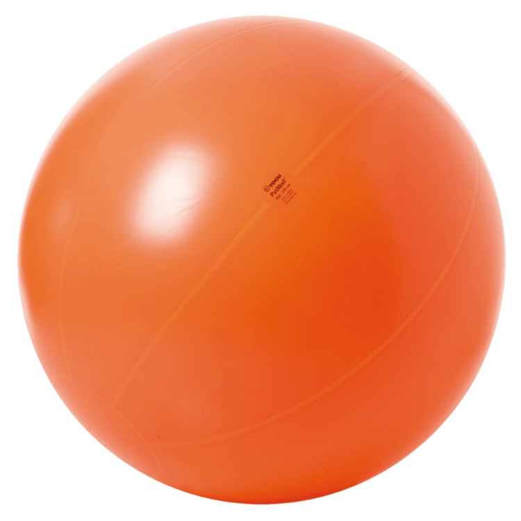 Piłka do ćwiczeń Pushball Togu 120 cm (bez systemu ABS)
